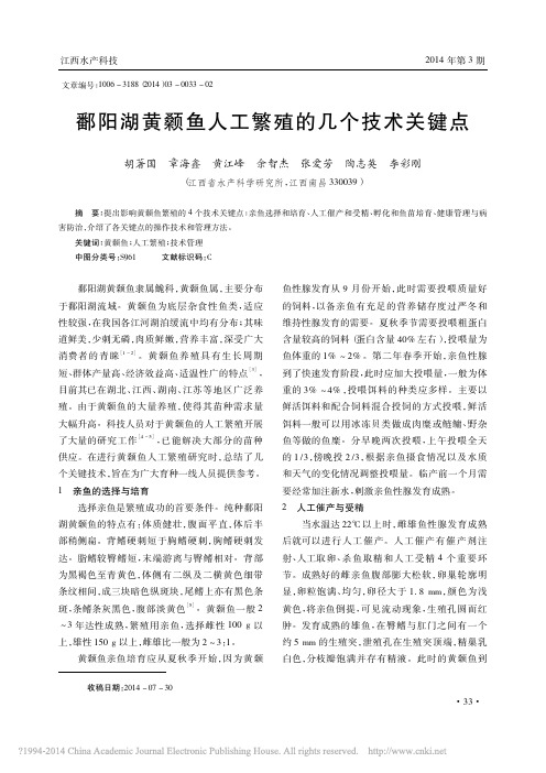鄱阳湖黄颡鱼人工繁殖的几个技术关键点