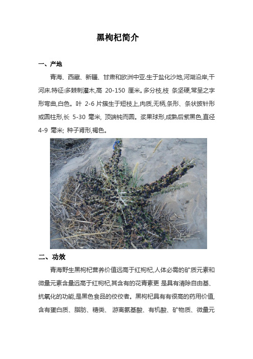 黑枸杞简介