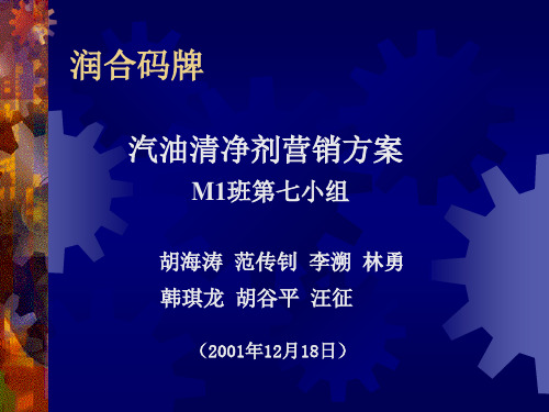 某品牌汽油清净剂营销方案ppt页