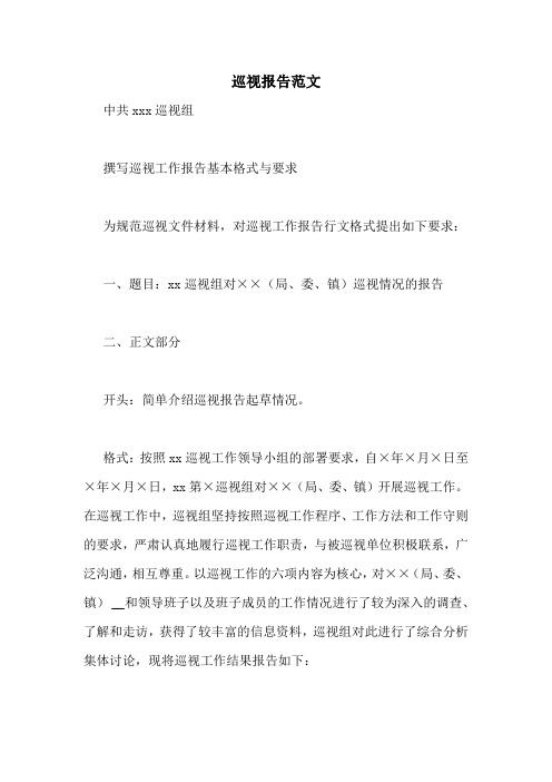 巡视报告范文