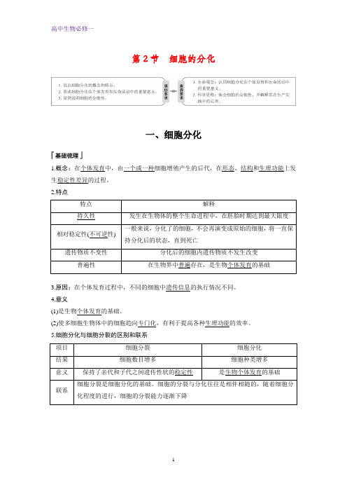 人教版必修一文档：第6章 细胞的生命历程 第2节 Word版含答案