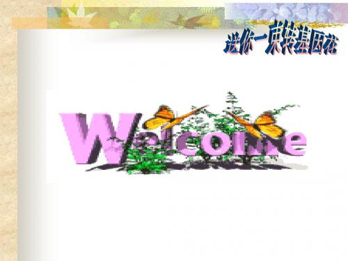 转基因的花精选教学PPT课件