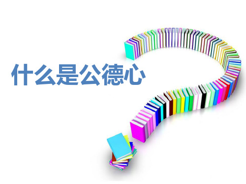 什么是公德心(精)