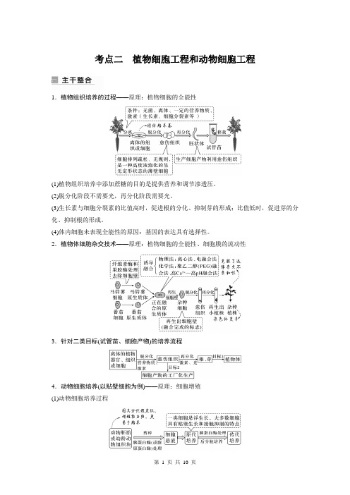 2023届高考生物二轮复习专题9 考点2 植物细胞工程和动物细胞工程-讲义(通用版)