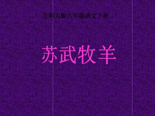 苏武牧羊-PPT精品教学课件5