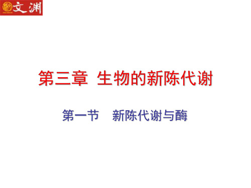 高一生物新陈代谢与酶2