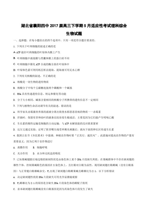 2017届湖北省襄阳四中高三下学期5月适应性考试理科综合生物试题(原卷版)