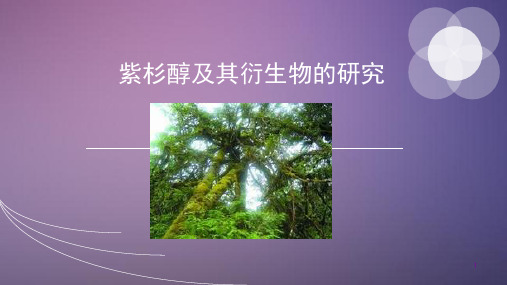紫杉醇及其衍生物的研究PPT参考课件