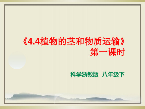 浙教版八级科学下册_植物的茎和物质运输_教学ppt