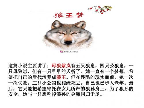《狼王梦》阅读交流课--周亦杨