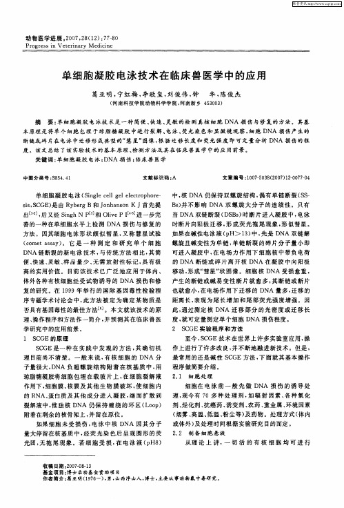 单细胞凝胶电泳技术在临床兽医学中的应用