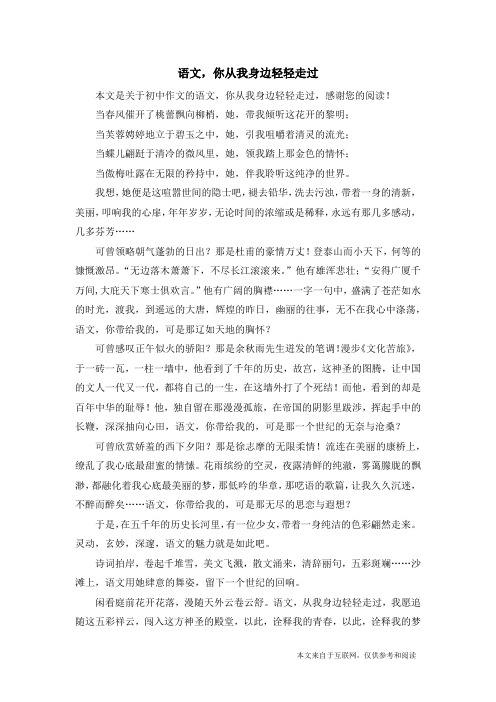语文,你从我身边轻轻走过_初中作文