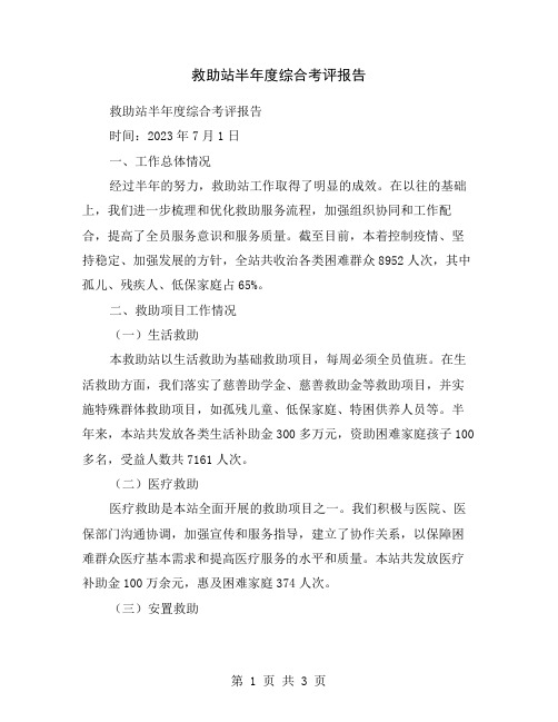 救助站半年度综合考评报告