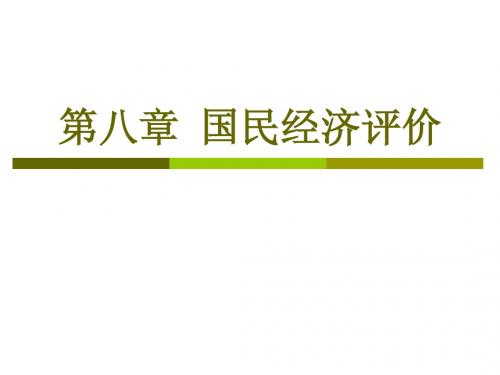 08国民经济评价