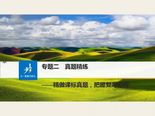 2018年高考语文(全国)大一轮复习复习ppt (30)