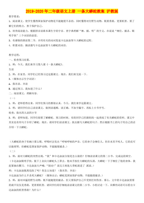 2019-2020年二年级语文上册 一条大蟒蛇教案 沪教版