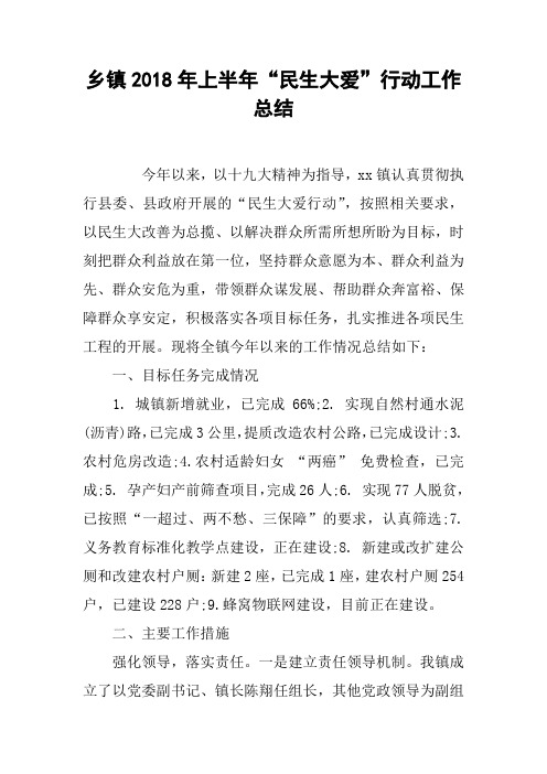 乡镇2018年上半年“民生大爱”行动工作总结