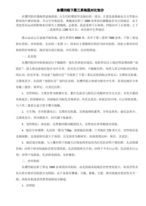 第三系地层对比划分