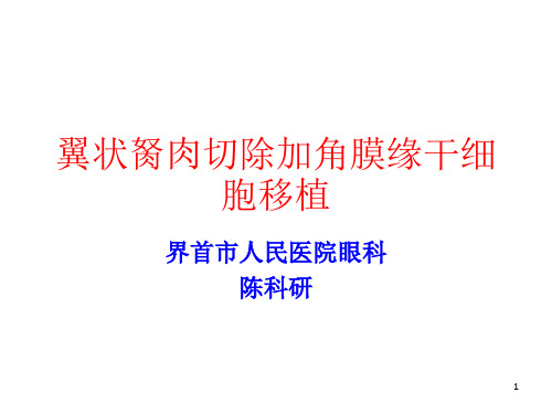 《陈科研翼状胬肉》PPT课件