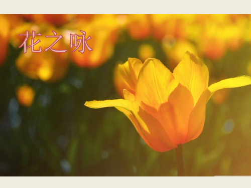 北师大版四年级语文下册《3 花-花之咏》课件