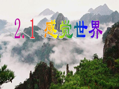 感觉世界上课课件ppt浙教版