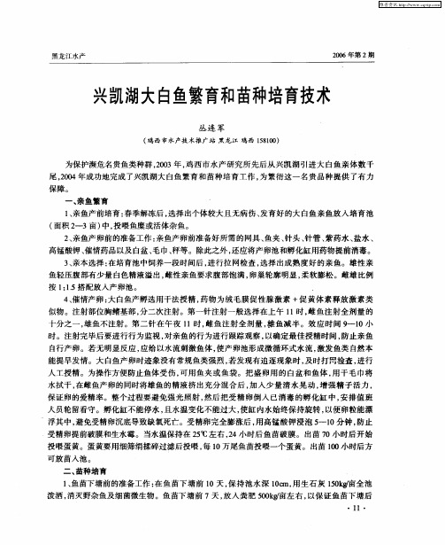 兴凯湖大白鱼繁育和苗种培育技术