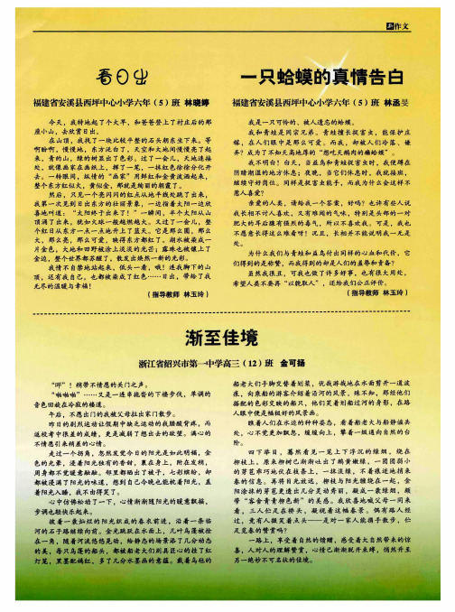 一只蛤蟆的真情告白