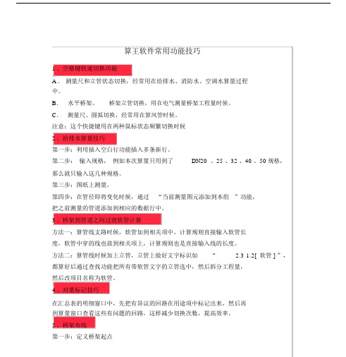 算王软件常用功能技巧.doc