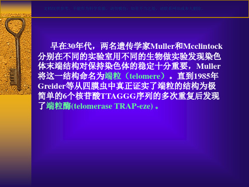 端粒端粒酶的研究进展课件