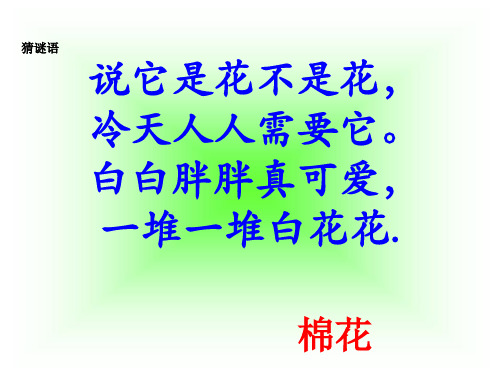 30一下《棉花姑娘》ppt课件