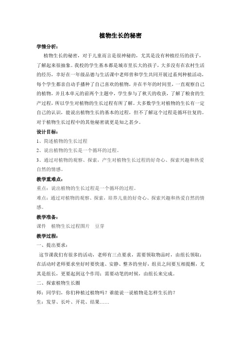 植物生长的秘密