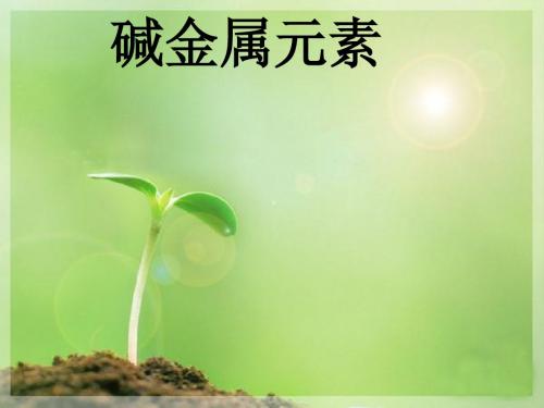 化学课件《碱金属元素》优秀ppt6 人教课标版
