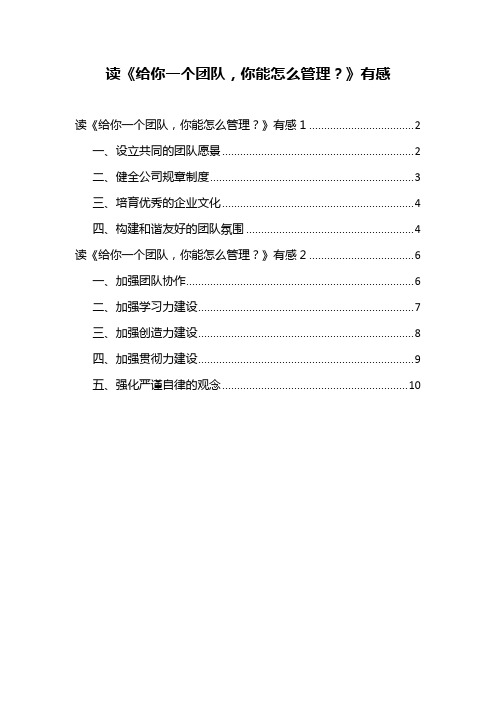 读《给你一个团队-你能怎 么管理》有感心得体会两篇