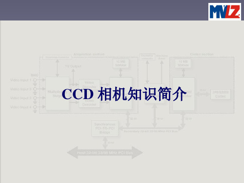 CCD知识简介vision China
