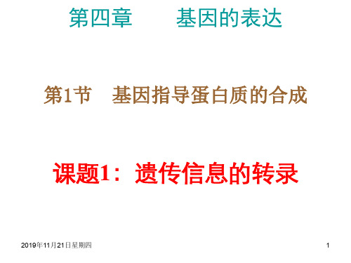 高一生物基因指导蛋白质的合成4(201911整理)