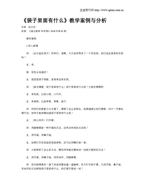 《袋子里面有什么》教学案例与分析