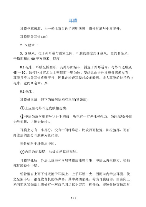 耳膜是什么
