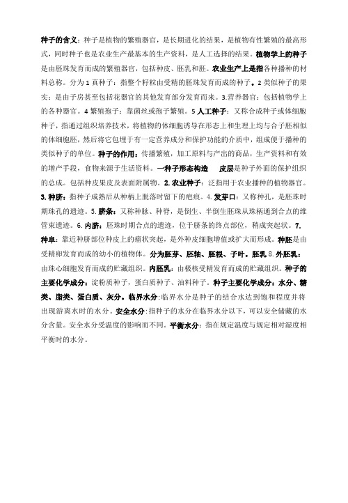 种子的含义