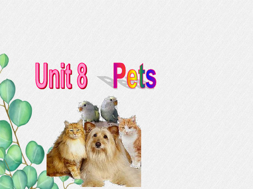 公开课获奖《Unit8 Pets 》课件(公开课) 