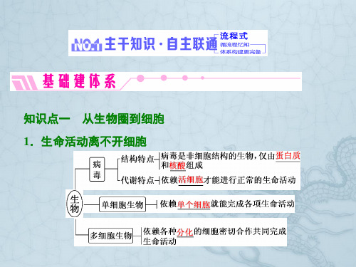 2018高考生物三维设计全国通用版第一单元第1讲  走近细胞