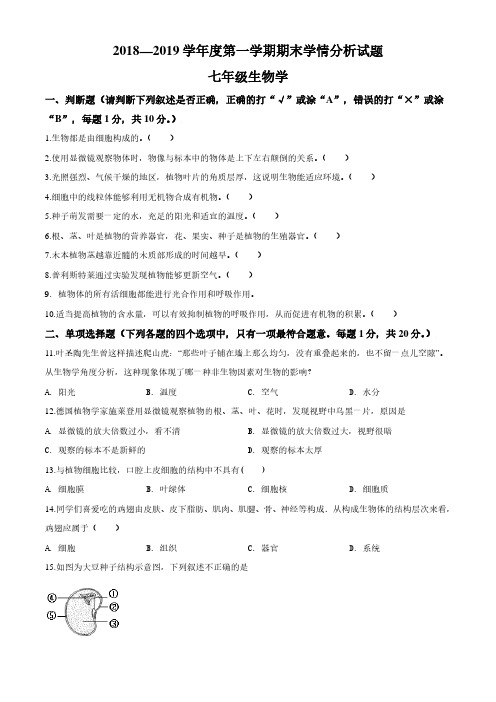 2018-2019南京市南师大附属中学七年级上册期末生物【试卷+解析】