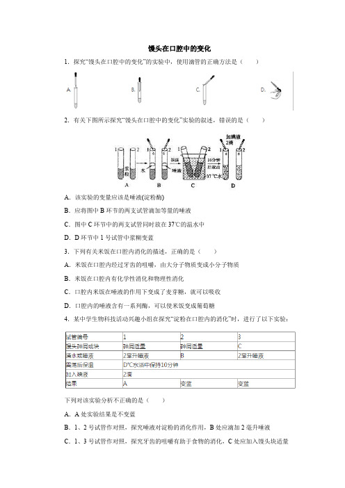 初中生物实验突破(通用版)：馒头在口腔中的变化课后作业