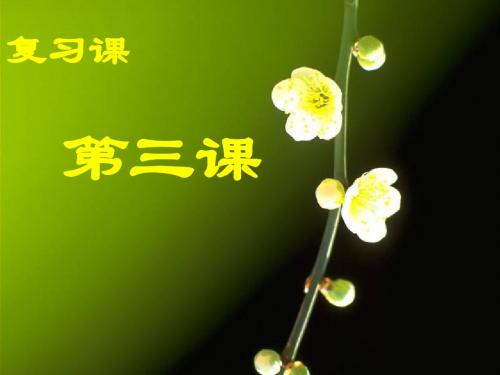 复习第三课不一样的环境不一样的我