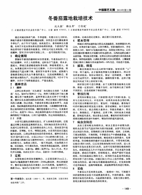 冬番茄露地栽培技术