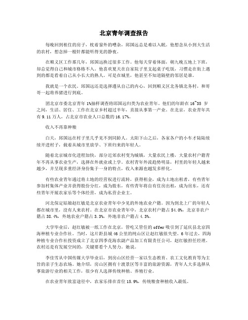 北京青年调查报告