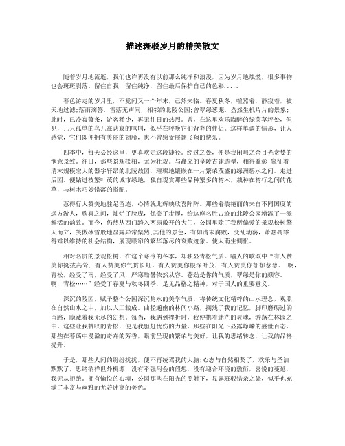 描述斑驳岁月的精美散文
