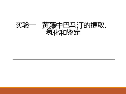 黄藤中巴马汀的提取 氢化和鉴定