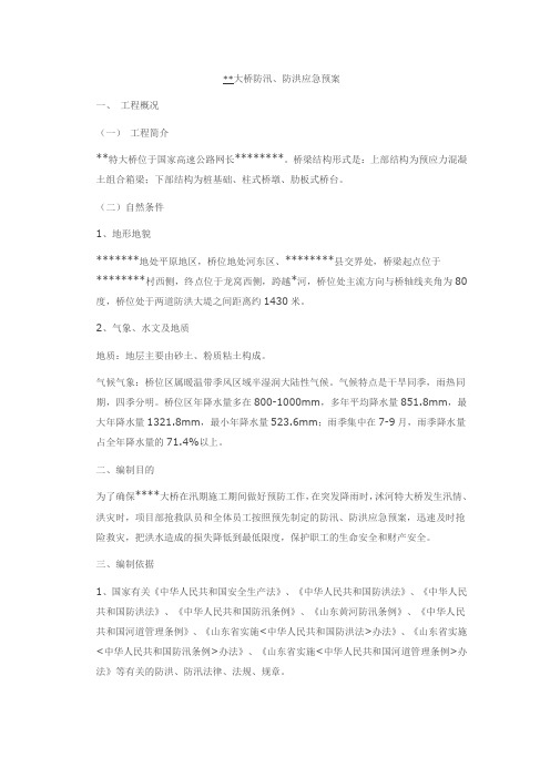 某大桥防汛抗洪应急预案