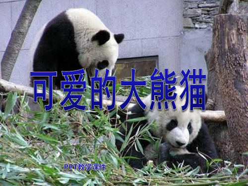 可爱的大熊猫(1)PPT课件