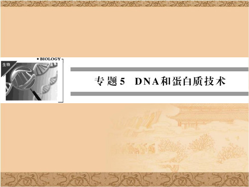 高二生物ppt课件 DNA的粗提取与鉴定课件